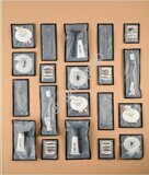 Общее фото Noir